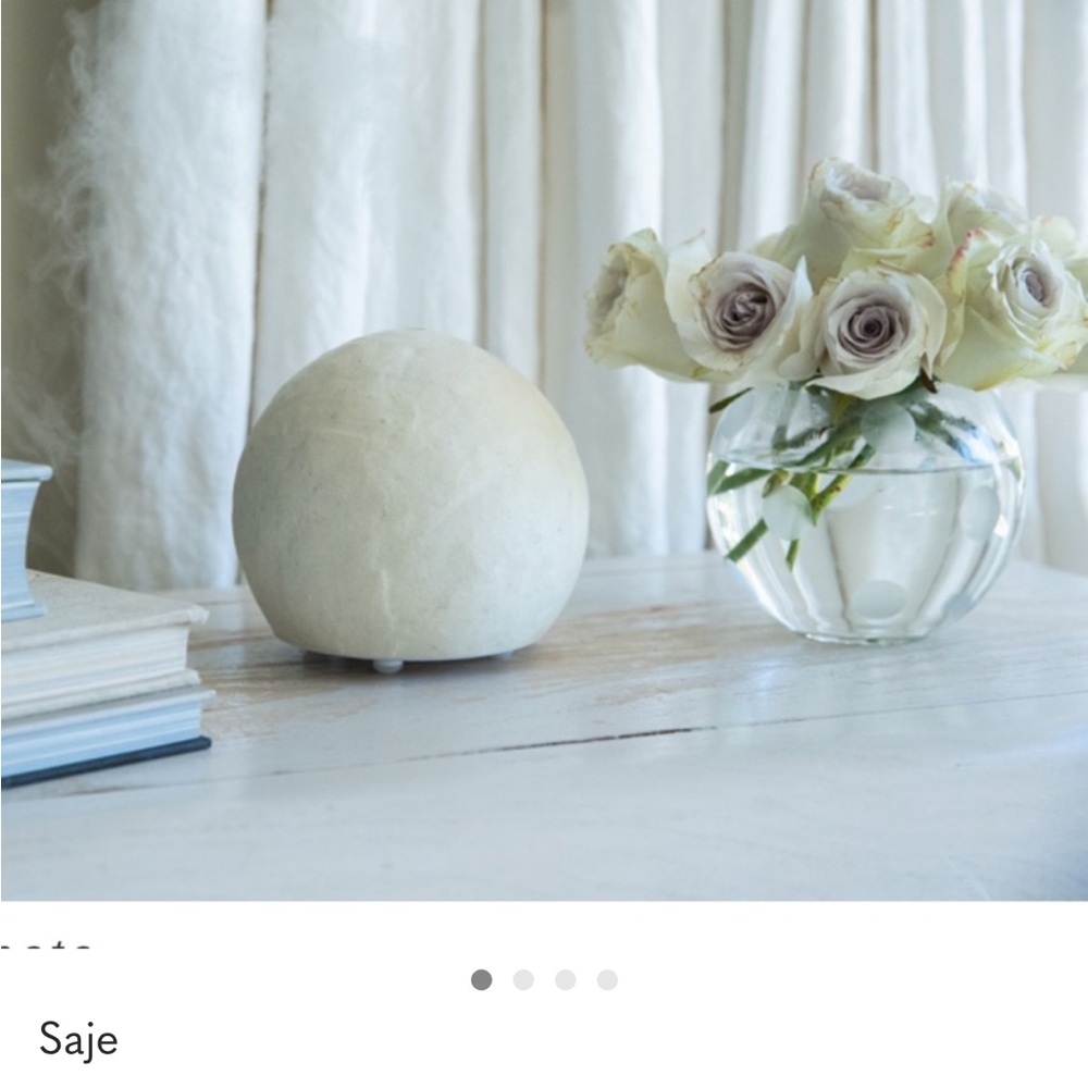 Ultrasonic SAGE positively Poosh diffuser-